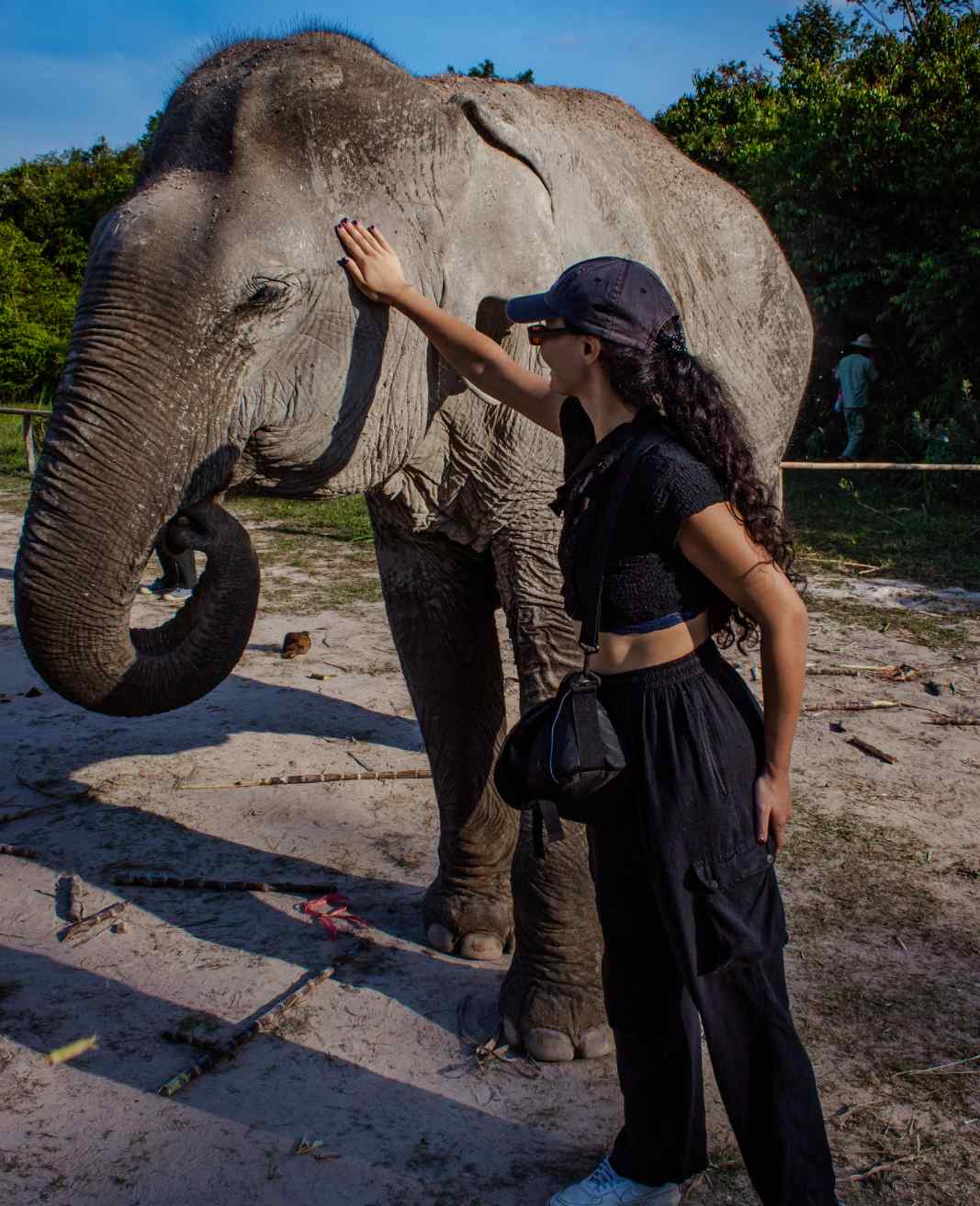 Janey travelling